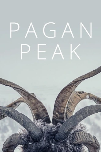Download Der Pass | 2022 | Season 1 | Hindi | Netflix Original WEB Series | 480p 720p 1080p | MoviesRock