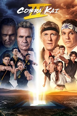 Download Cobra Kai | 2022 | Season 1 | Netflix Original WEB Series | 480p 720p 1080p | MoviesRock